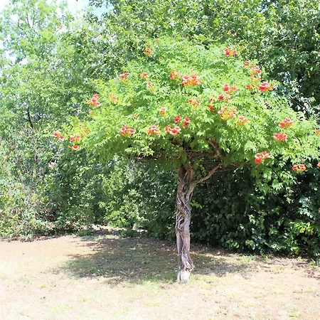 Calme Avec Wifi Et Climatisation Dans Le Perigord Noir - Fr-1-616-522 Apartmán