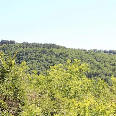 Calme Avec Wifi Et Climatisation Dans Le Perigord Noir - Fr-1-616-522